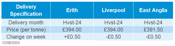 Delivered rapeseed 12 08 2024